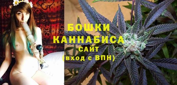 дурь Верея