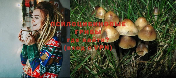 не бодяженный Верхний Тагил